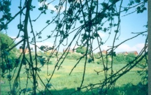 Vue des maisons